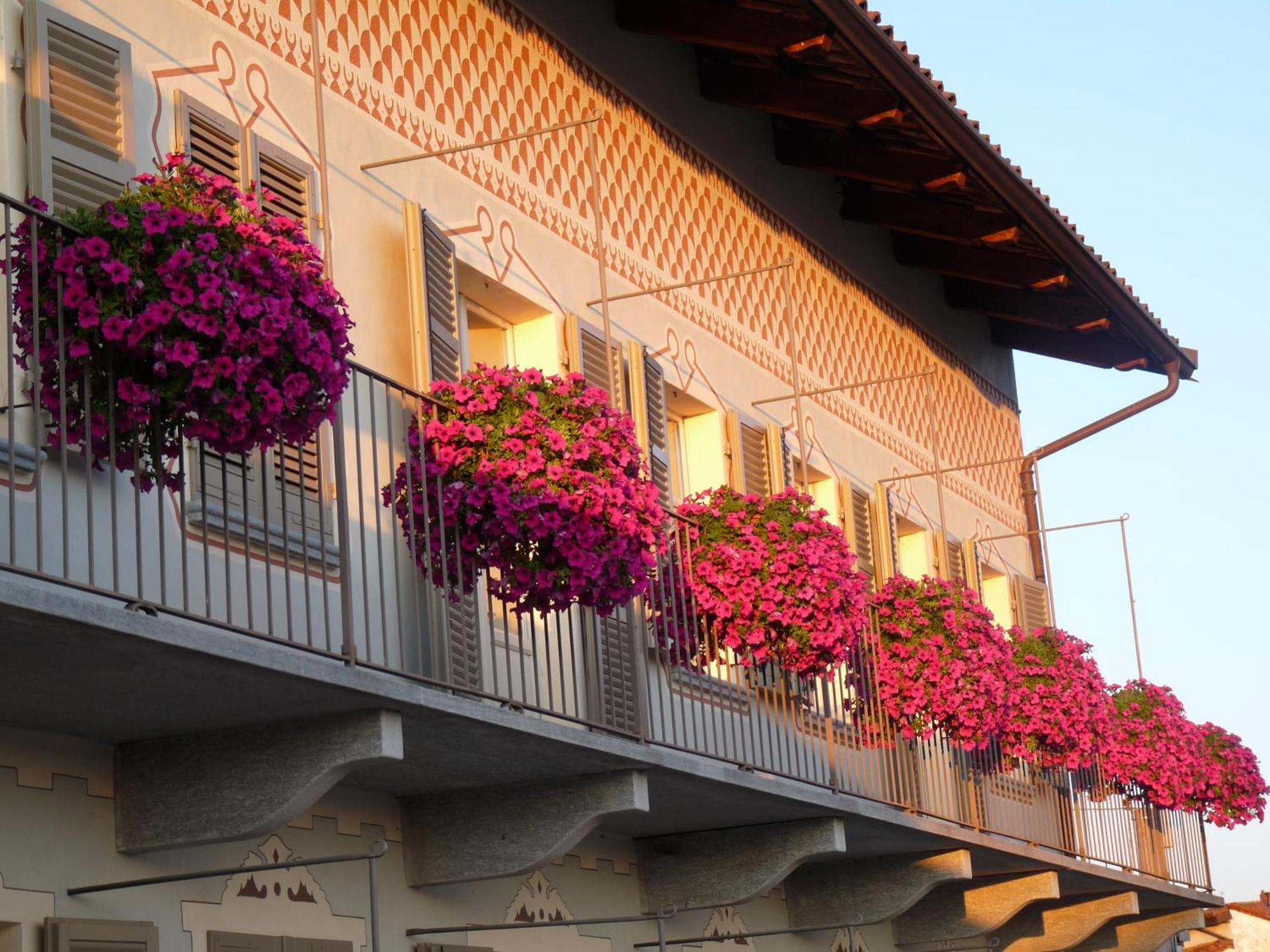 Casa Americani Montà Zewnętrze zdjęcie